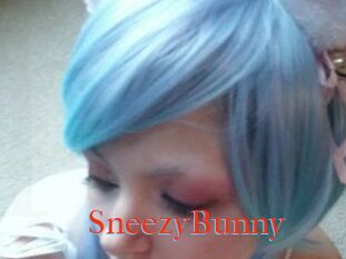 Sneezy_Bunny