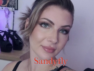 Sandyfly