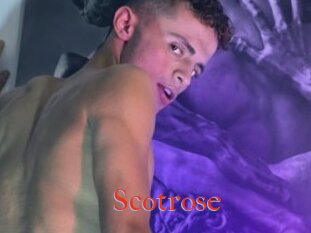 Scotrose