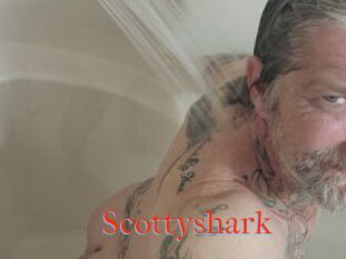 Scottyshark