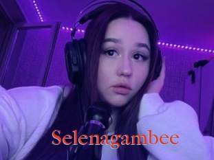 Selenagambee