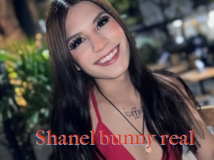 Shanel_bunny_real