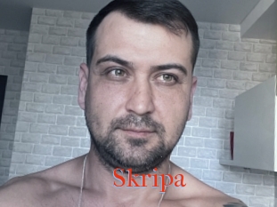 Skripa