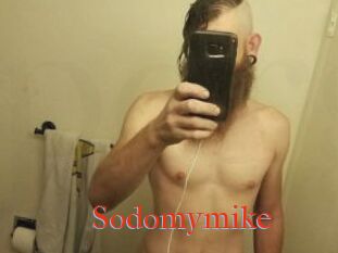 Sodomymike