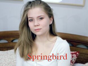 Springbird