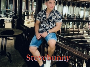 Stevebunny