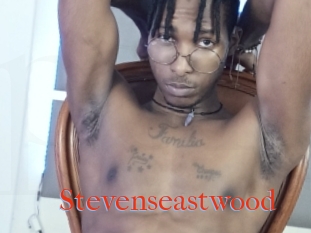 Stevenseastwood