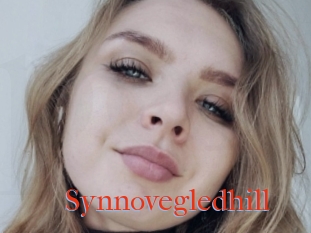 Synnovegledhill