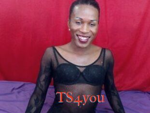 TS4you