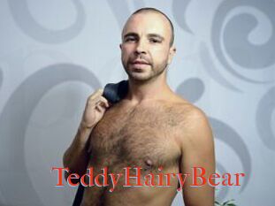 TeddyHairyBear