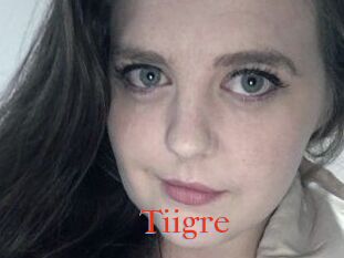 Tiigre_