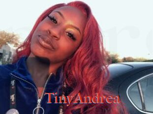 TinyAndrea