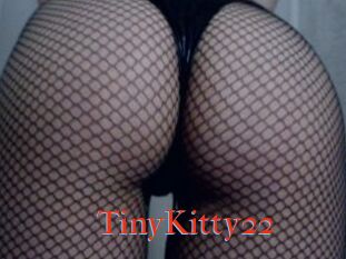 TinyKitty22