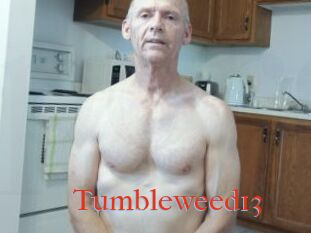 Tumbleweed13