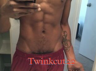 Twinkcut22