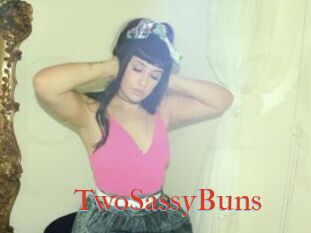 TwoSassyBuns