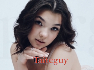 Taiteguy