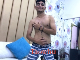 Taowhu