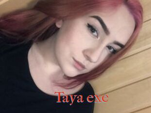 Taya_exe