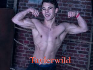 Taylerwild