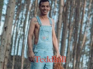 Teddhill