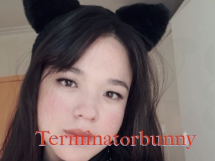 Terminatorbunny