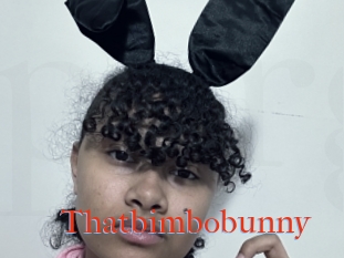 Thatbimbobunny