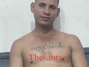 Thesantyx