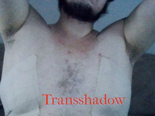 Transshadow