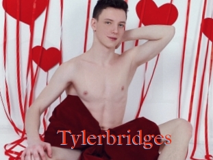 Tylerbridges