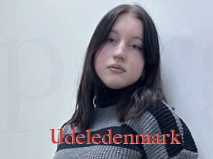 Udeledenmark