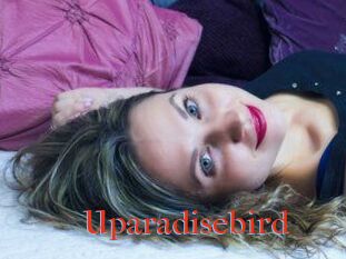 Uparadisebird