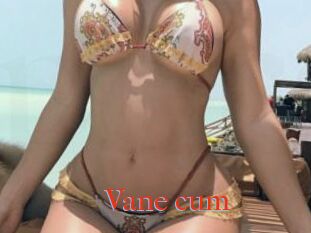 Vane_cum