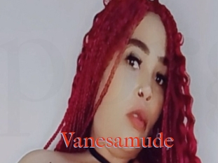 Vanesamude