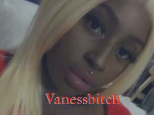 Vanessbitch