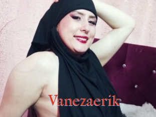 Vanezaerik