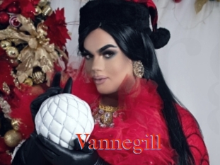 Vannegill