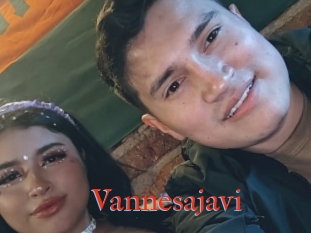 Vannesajavi