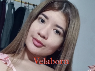 Velaborn