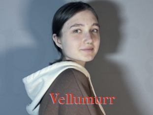 Vellumurr