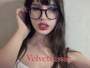 Velvetcassie