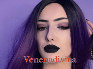 Venenadivina