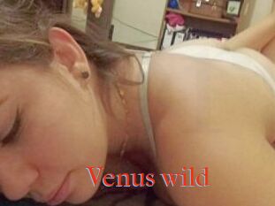 Venus_wild