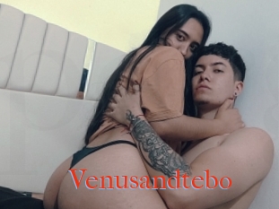 Venusandtebo