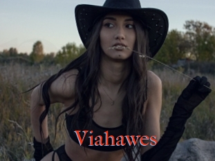 Viahawes