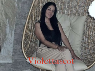 Violettascot