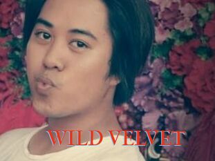 WILD_VELVET