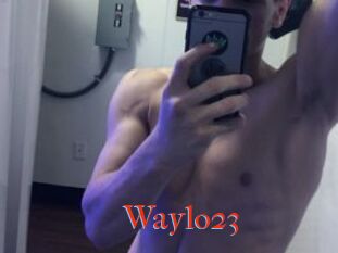 Waylo23