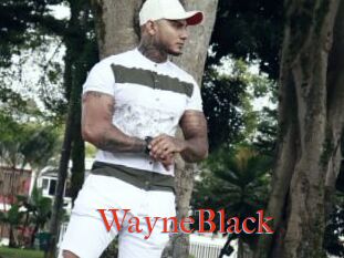 WayneBlack