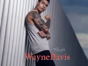 WayneDavis